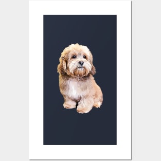 Shihpoo Shipoo Doodle Poodle Cutie Pie! Posters and Art